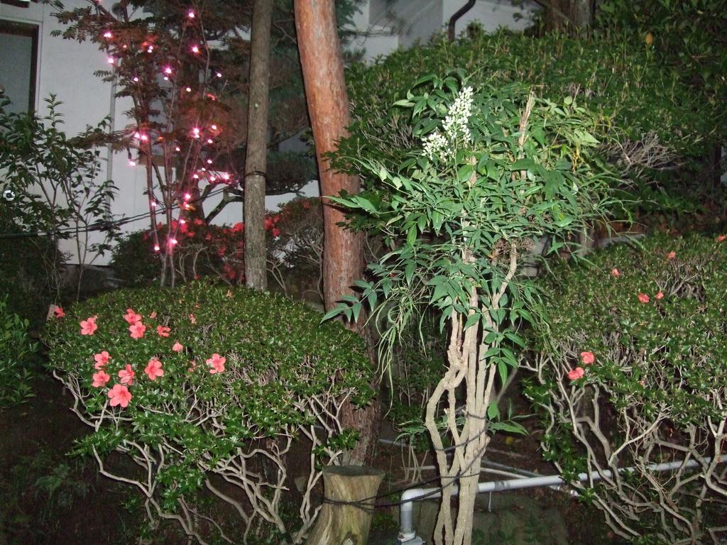 Marunaka Ryokan Matsumoto Extérieur photo